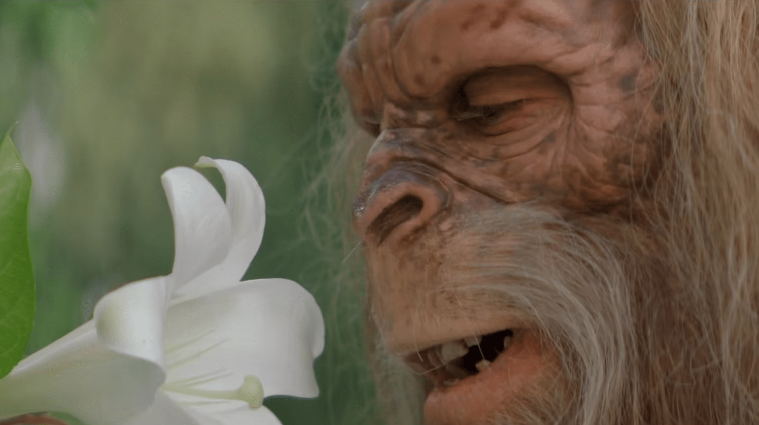 Jack's Links Beef Jerky